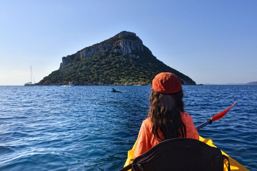 Golfo Aranci: Kayak Tour with Dolphins and Aperitif - Cala Moresca, where snorkeling earns its place