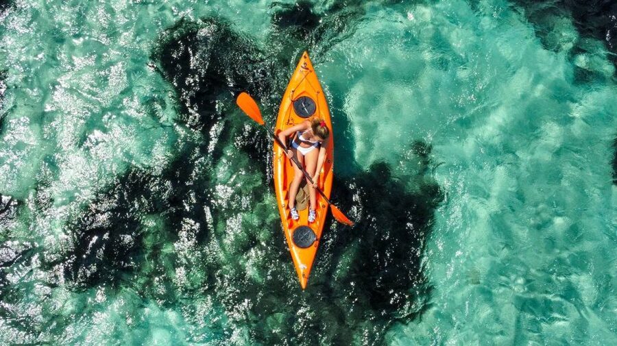 Golfo Aranci: Kayak Tour with Dolphins and Aperitif - What the marine biologists add