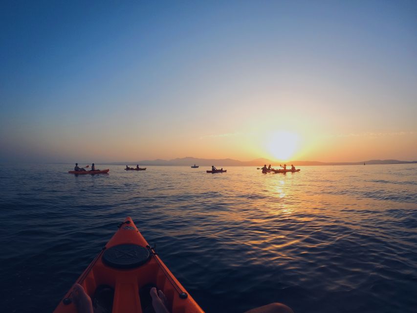 Golfo Aranci: Kayak Tour with Dolphins and Aperitif - Who should book this activity?