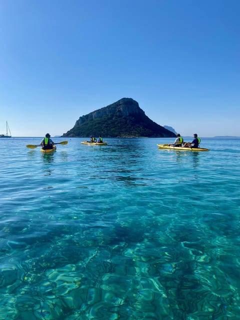 Golfo Aranci: Small group Kayak tour with Aperitif &dolphins - Why the dolphins are only part of the appeal