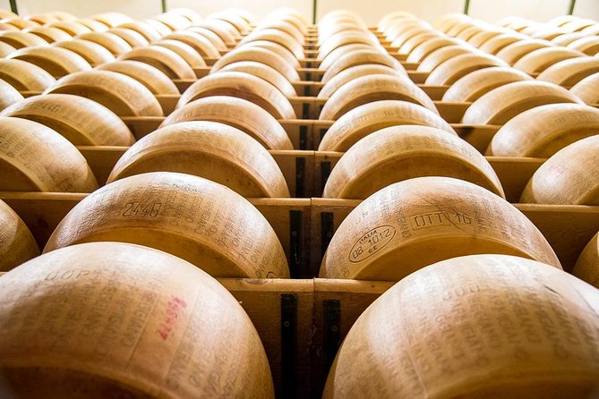 Guided group tour TastyBus: Parmesan Cheese and Parma Ham - Meeting at Viale Paolo Toschi at 9:15