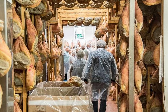 Guided group tour TastyBus: Parmesan Cheese and Parma Ham - Parma ham among rows of hanging prosciutto