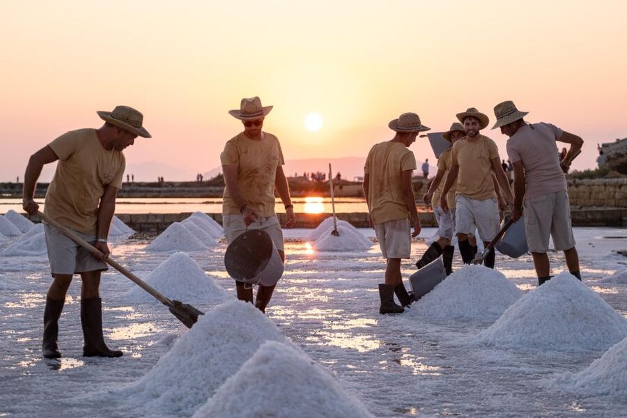 Guided tour of the Trapani Salt Pans and Salt Museum - Walking the salt pans beside the sea