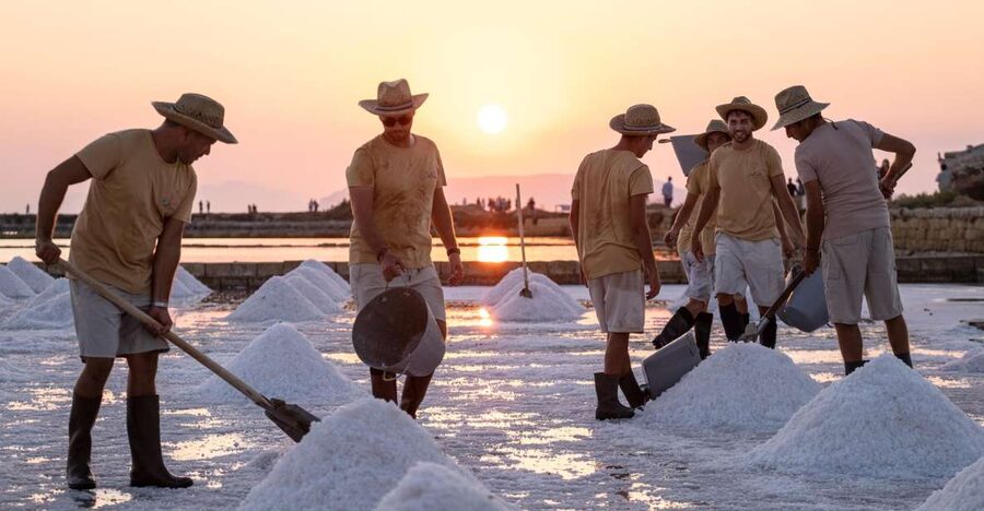 Guided tour of the Trapani Salt Pans and Salt Museum - Is $21 a fair price?