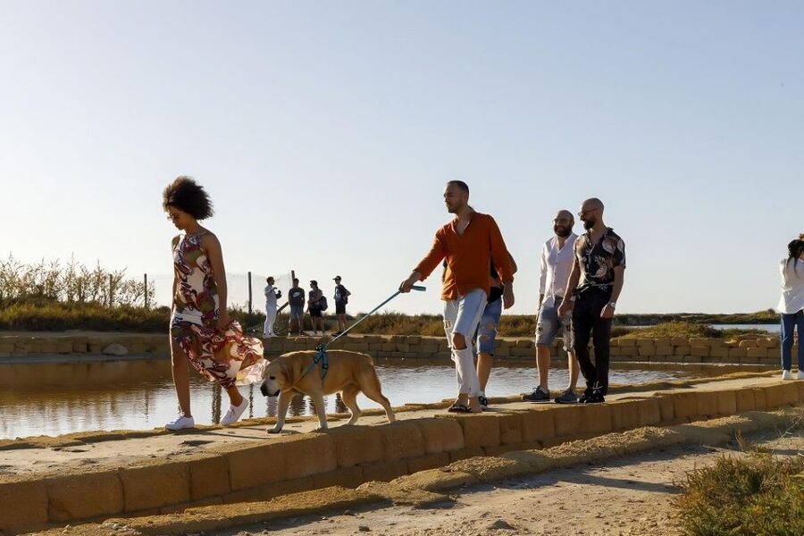 Guided tour of the Trapani Salt Pans and Salt Museum - Who will enjoy the Culcasi salt pan tour?
