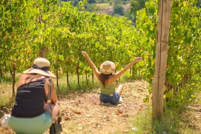 Half day Chianti Vineyard Escape from Florence with Wine Tastings - Key points at a glance