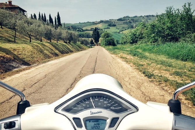 Half day Chianti Vineyard Escape from Florence with Wine Tastings - Choosing morning light or afternoon gold