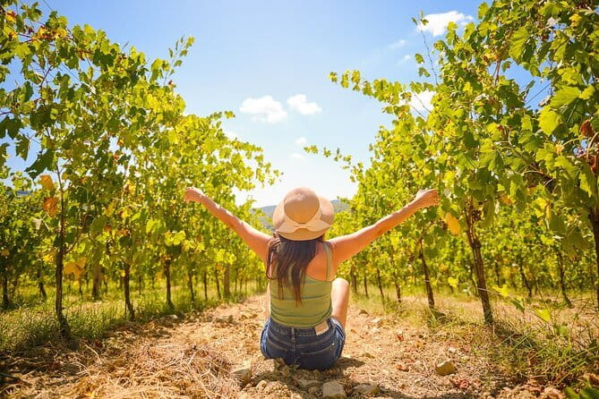 Half day Chianti Vineyard Escape from Florence with Wine Tastings - First winery: tasting, cellar, and local products