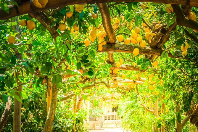 Hands-On Cooking Class & Farmhouse Tour on the Amalfi Coast - Weather, food rules, and group size