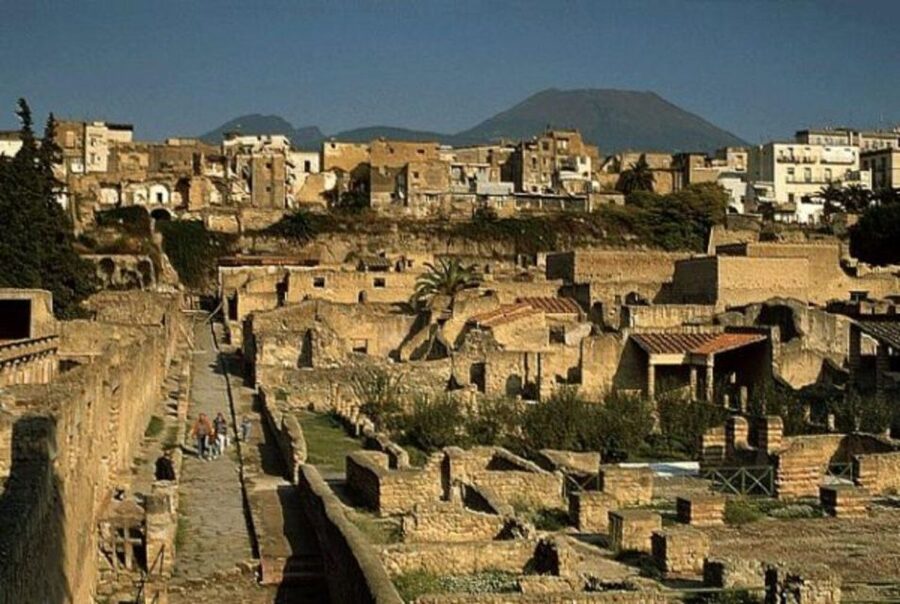 Herculaneum: Skip The Line Entrance ticket + Audioguide - Who will like this format most?