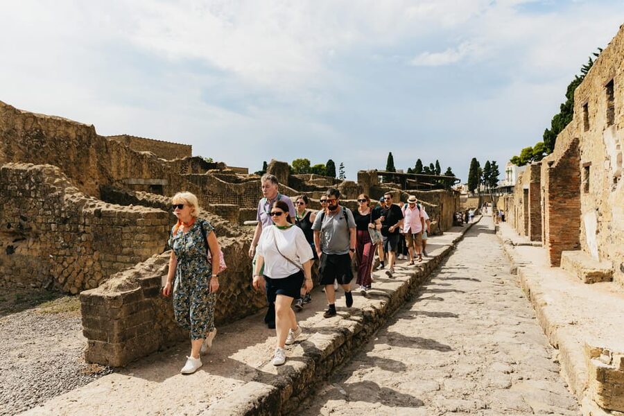 Herculaneum: Skip-the-Line Guided Tour with Archaeologist - Meeting at the Via dei Papiri Ercolanesi ticket office