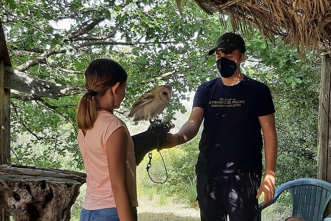 Interactive Educational Course on Birds of Prey - Timing, group size, and value at $42.34