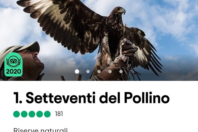 Interactive Educational Course on Birds of Prey - Practical advice for a smooth visit