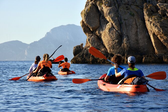 Kayak tour with aperitif and dolphins - Starting from Baracconi Beach near Golfo Aranci