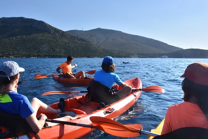 Kayak tour with aperitif and dolphins - Cala Moresca brings the first swim