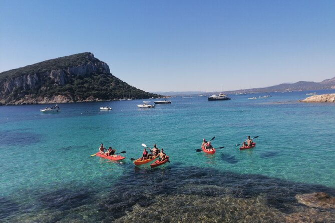 Kayak tour with aperitif and dolphins - Figarolo Island and the Sardinian aperitif