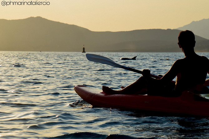 Kayak tour with aperitif and dolphins - Looking for dolphins by the fish farm