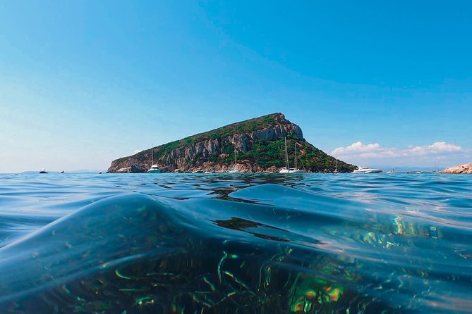 Kayak tour with aperitif and dolphins - Who will enjoy this most