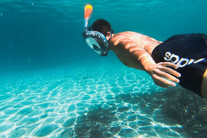 Kayak tour with aperitif and dolphins - Practical details before you go