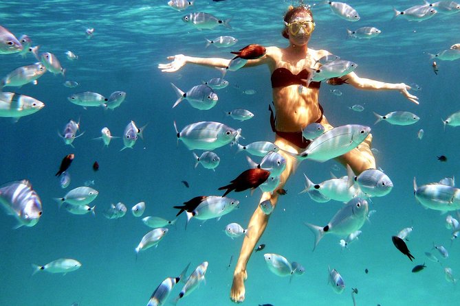Kayak Tour with Snorkeling and Local Aperitif - From Cala Suaraccia into the Tavolara marine area