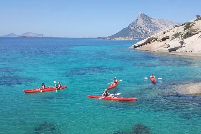 Kayak Tour with Snorkeling and Local Aperitif - Is $66.54 a fair price?