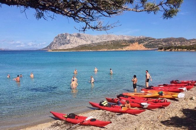 Kayak Tour with Snorkeling and Local Aperitif - Who will enjoy this Sardinian morning