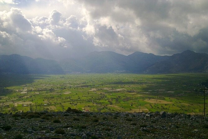 Knossos & Lasithi Plateau: Zeus Cave,Villages, Olive Oil Tour - Omalia Olive Press and the taste of Cretan olive oil