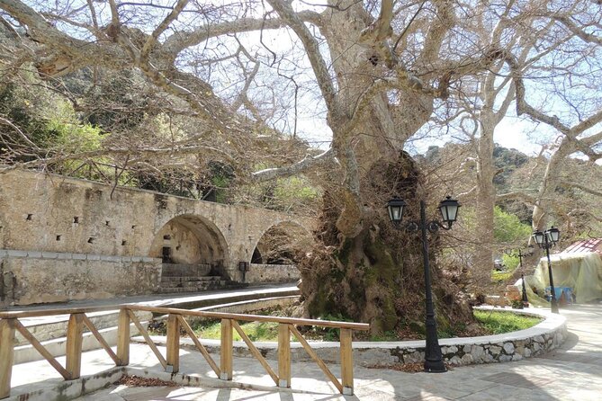 Knossos & Lasithi Plateau: Zeus Cave,Villages, Olive Oil Tour - A mountain lunch at Tzanakis Michael