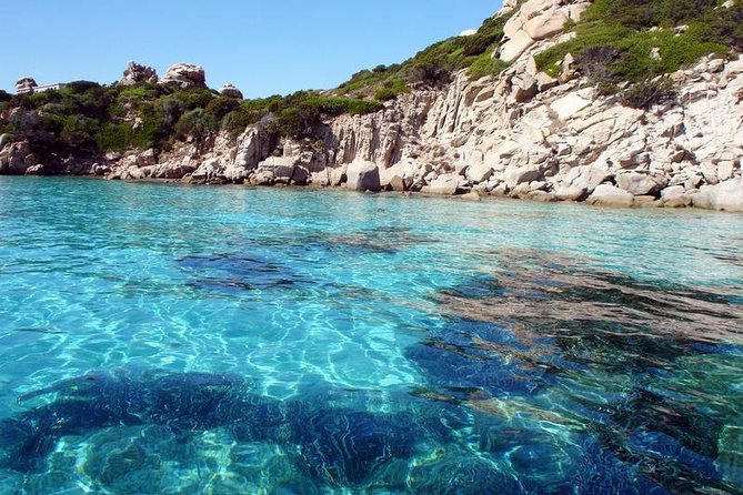 La Maddalena Archipelago Boat Tour from Palau - Budelli’s natural pools are best seen from the boat