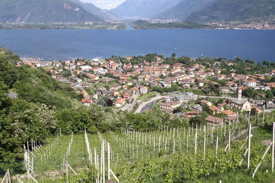 Lake Como: Winery Tour with Wine Tasting - Key points to know before you book