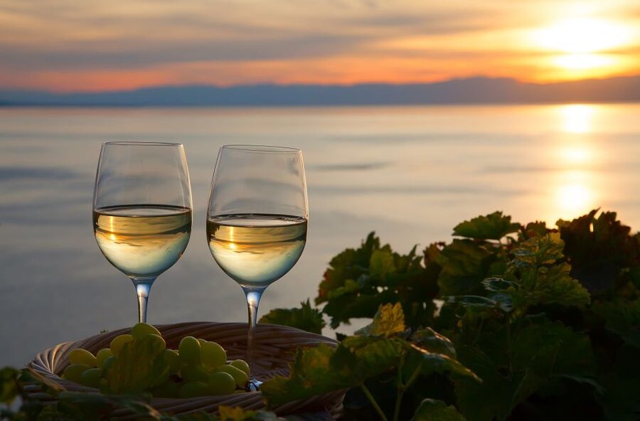 Lake Como: Winery Tour with Wine Tasting - The three-wine tasting on the terrace