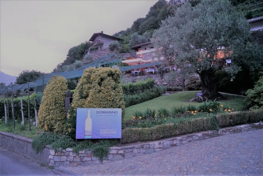 Lake Como: Winery Tour with Wine Tasting - Who will enjoy this experience most