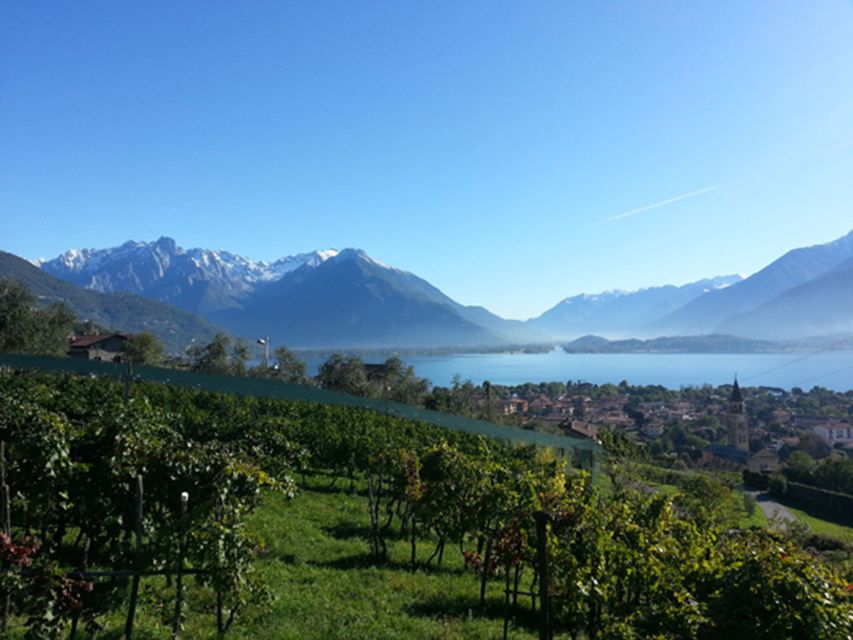 Lake Como: Winery Tour with Wine Tasting - Should you book the Sorsasso wine tour?