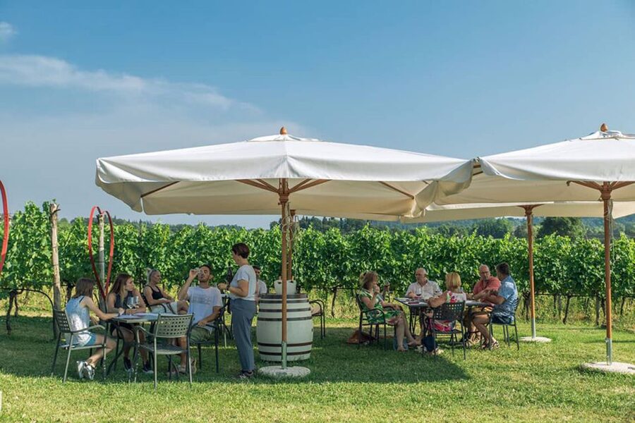 Lake Garda: Wine and Food Tastings in the Vineyards - Key points to know before booking