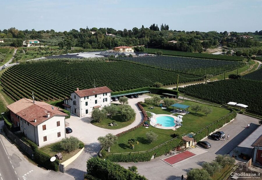 Lake Garda: Wine and Food Tastings in the Vineyards - Garda olive oil deserves its own tasting