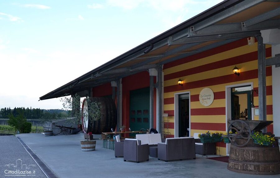 Lake Garda: Wine and Food Tastings in the Vineyards - How good is the $50 value?