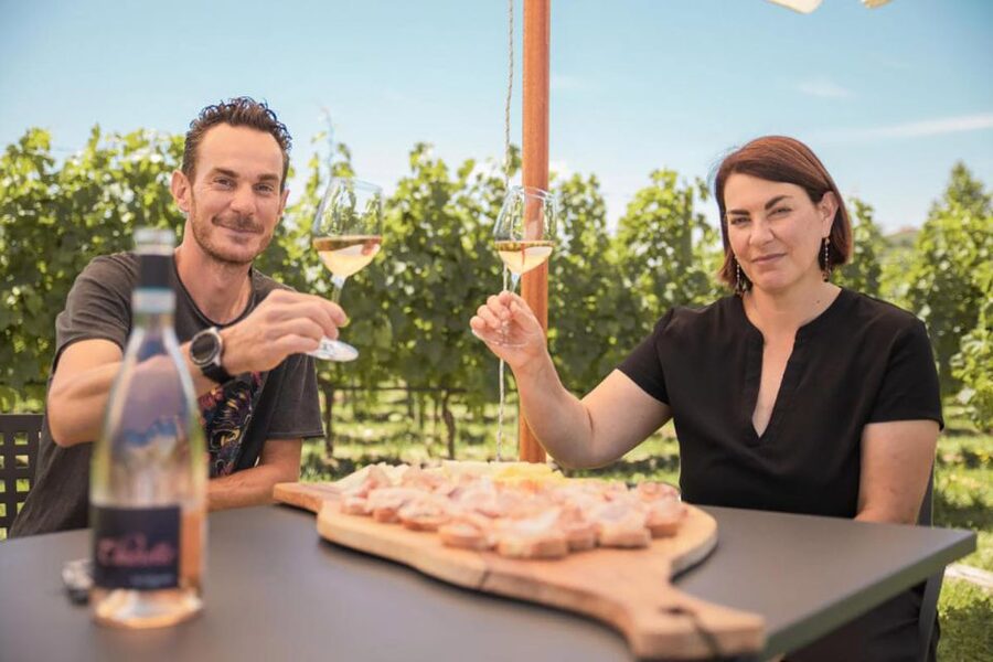 Lake Garda: Wine and Food Tastings in the Vineyards - Who will enjoy this vineyard experience most?