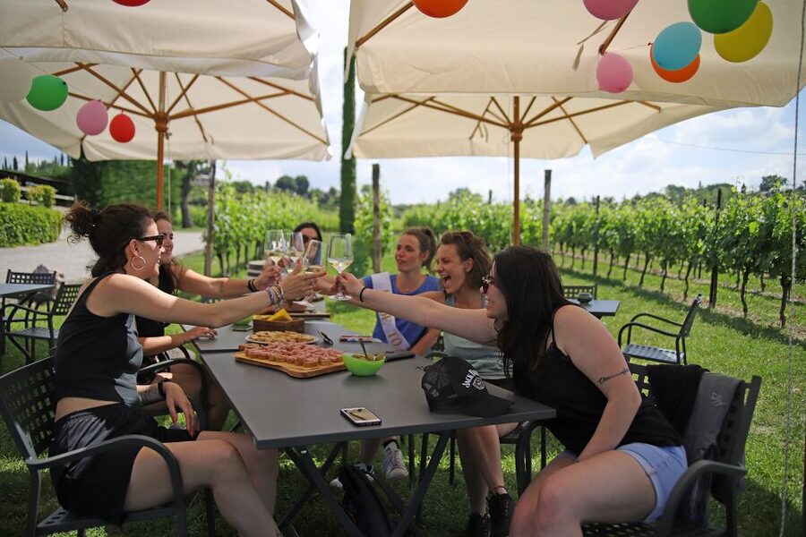 Lake Garda: Wine and Food Tastings in the Vineyards - Practical tips for making the most of the tasting