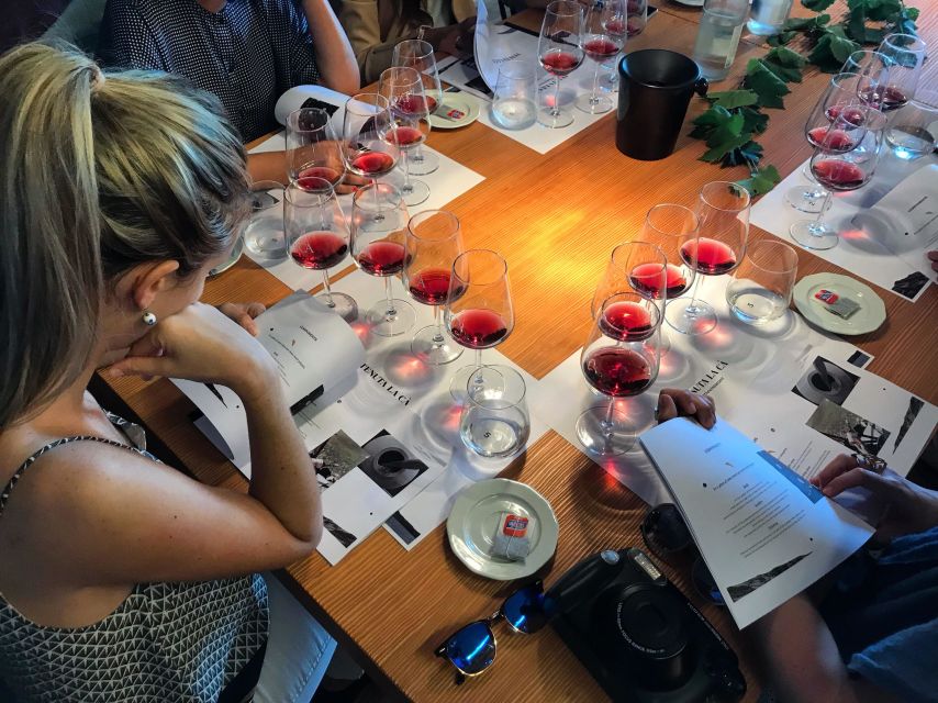 Lake Garda: Wine Tour and Tasting Experience in Bardolino - What the Tenuta La Cà visit is really like
