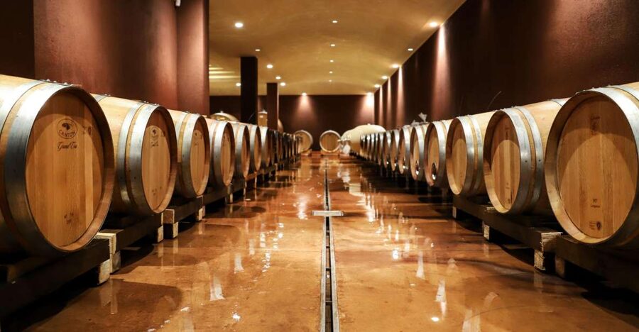 Lake Garda: Wine Tour and Tasting Experience in Bardolino - Local meats, cheeses, and olive oil