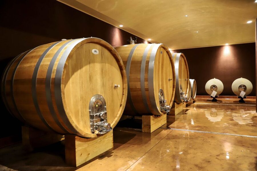 Lake Garda: Wine Tour and Tasting Experience in Bardolino - How much value do you get for $47?