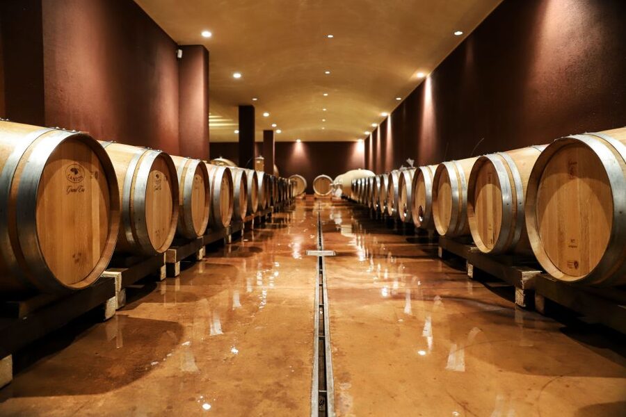 Lake Garda: Wine Tour and Tasting Experience in Bardolino - Four wines, explained one glass at a time