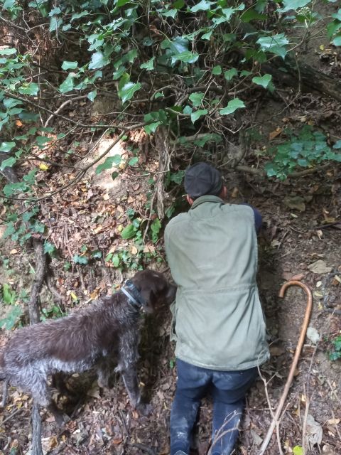 Langhe: Truffle Hunting Experience - Why truffle hunting belongs on a Langhe itinerary