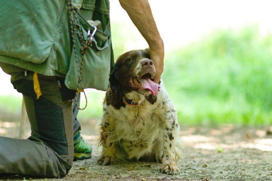 Langhe: Truffle Hunting Experience - The walk: short, earthy, and not always easy