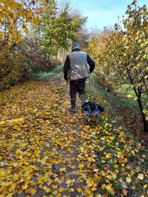 Langhe: Truffle Hunting Experience - Choosing between 1.5 and 3.5 hours