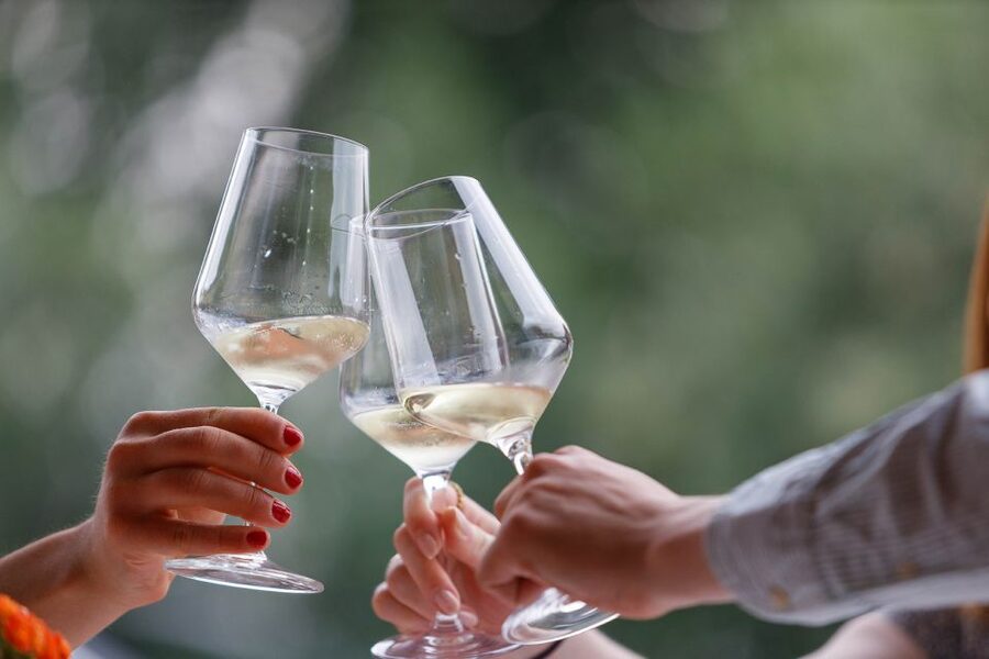 Lazise: Winery Tour with Garda Wines and Food Tasting - Key points to know