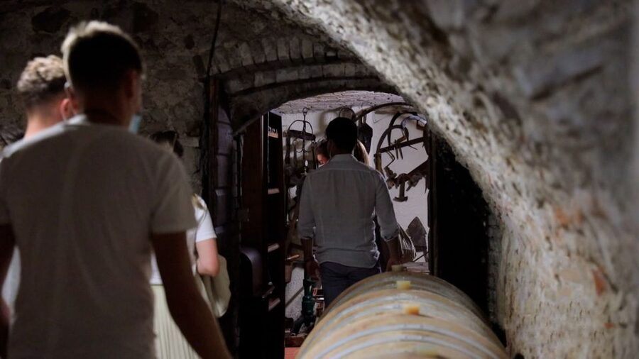 Lazise: Winery Tour with Garda Wines and Food Tasting - Practical details before you go