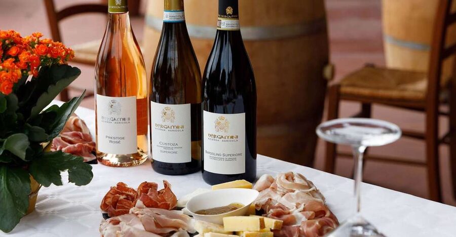 Lazise: Winery Tour with Garda Wines and Food Tasting - A working winery close to Lazise