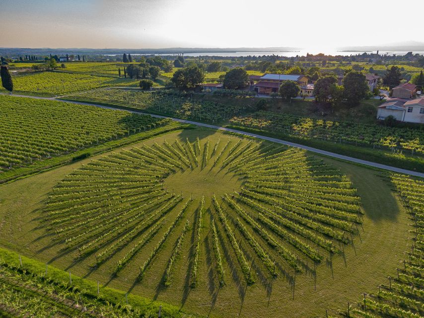 Lazise: Winery Tour with Garda Wines and Food Tasting - The guides shape the experience
