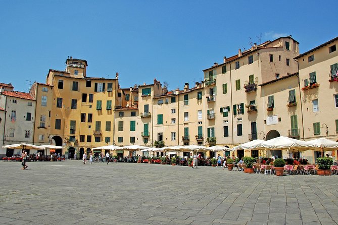 Livorno Shore Excursion to Lucca & Pisa optional Leaning Tower Ticket - Should you climb the Leaning Tower?